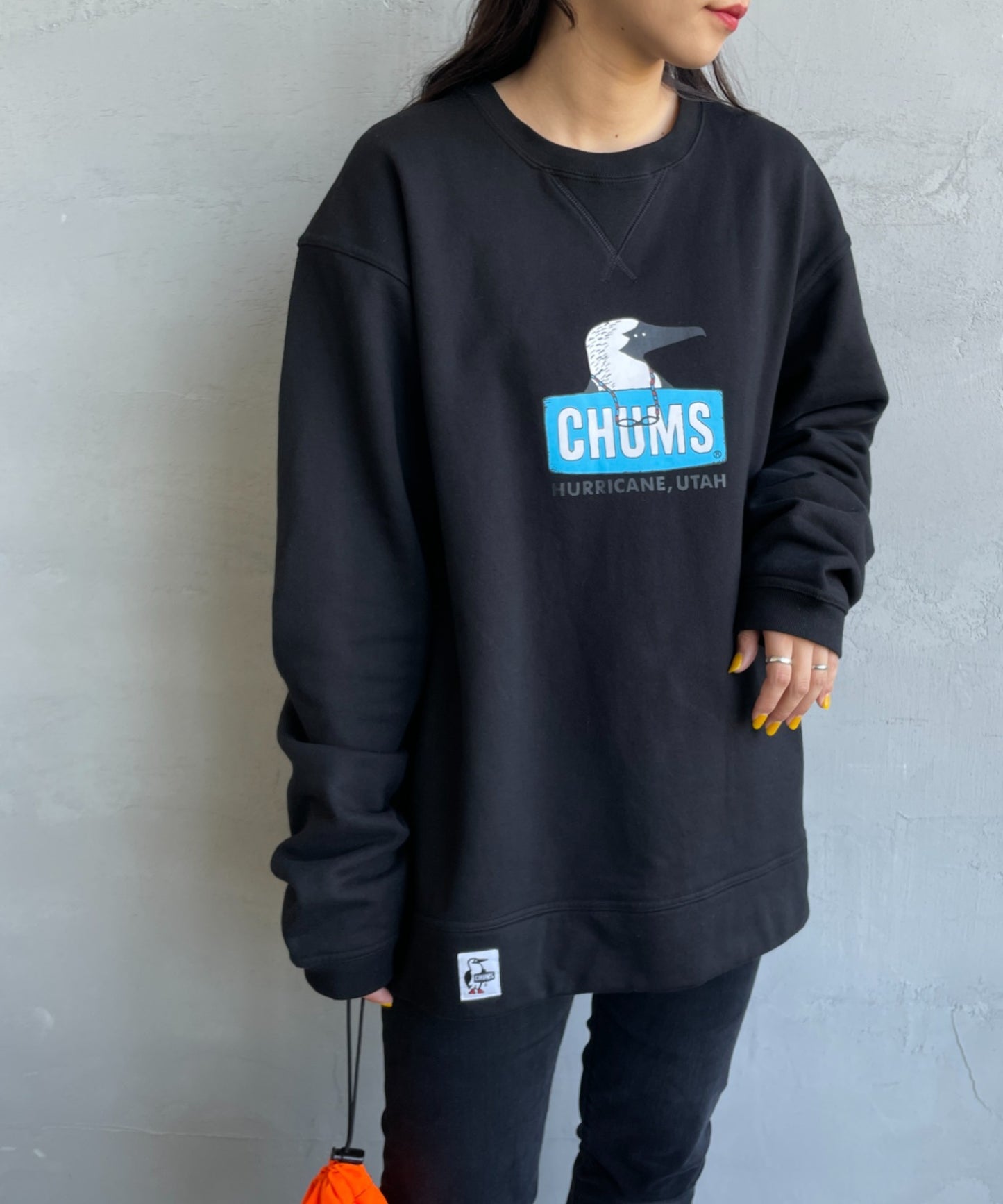 Chums Sweatshirt with Nostalgic Albatross Face Logo and Printed Pattern