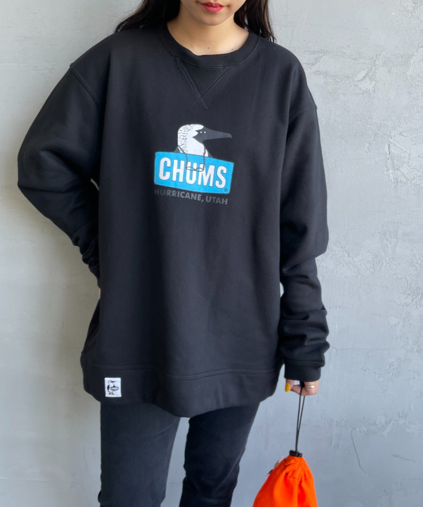 Chums Sweatshirt with Nostalgic Albatross Face Logo and Printed Pattern